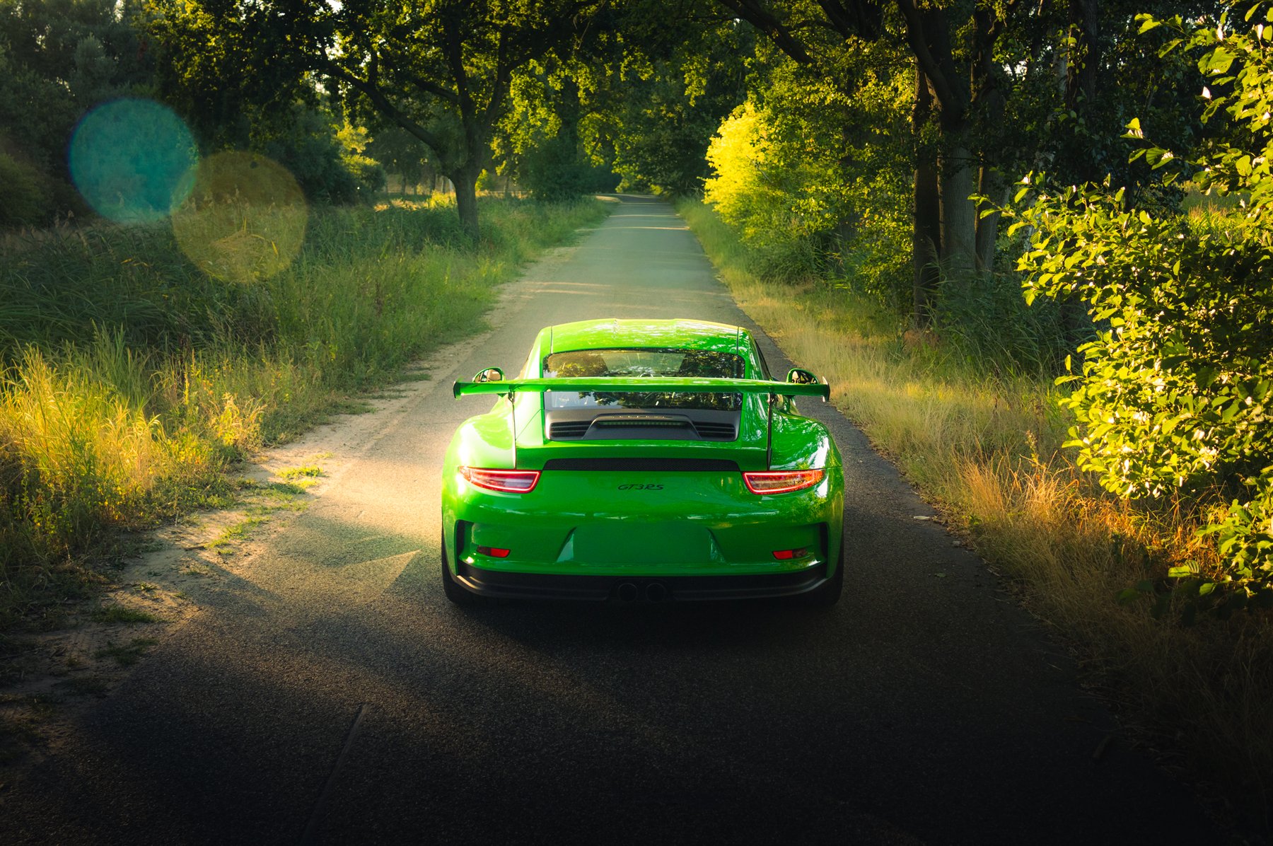 Porsche GT3 RS in boslaan